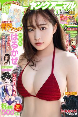 小夫妻 电视剧